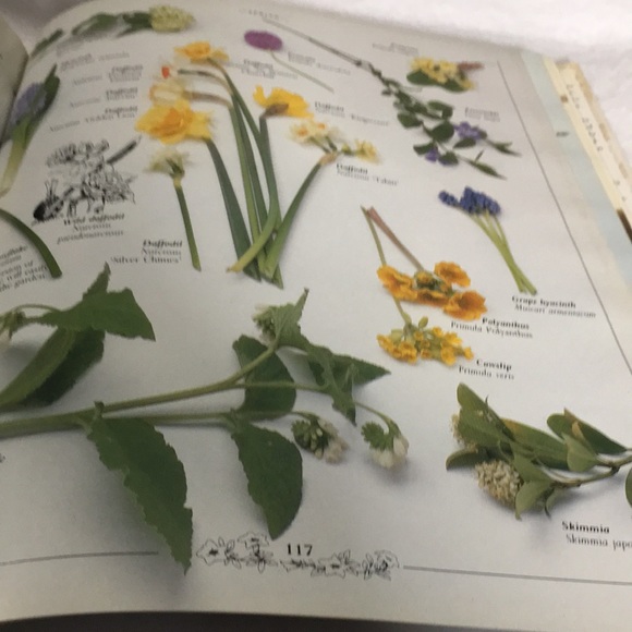 Fresh Flowers A complete guide to selecting & arranging coffee table book - Picture 10 of 16